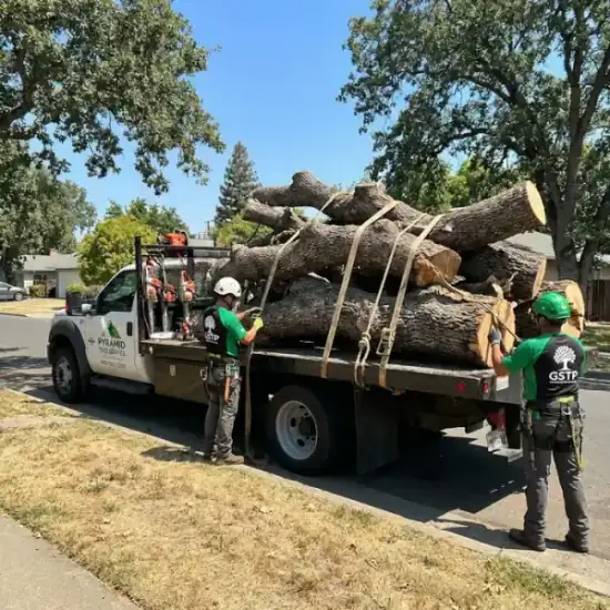Tree service truck loaded with branches after a New Orleans job